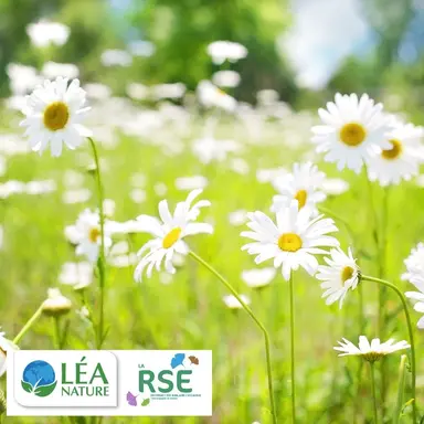 RSE : les engagements de Léa Nature