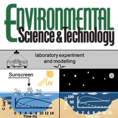 Les crèmes solaires relarguent métaux et nutriments inorganiques dans l'eau de mer