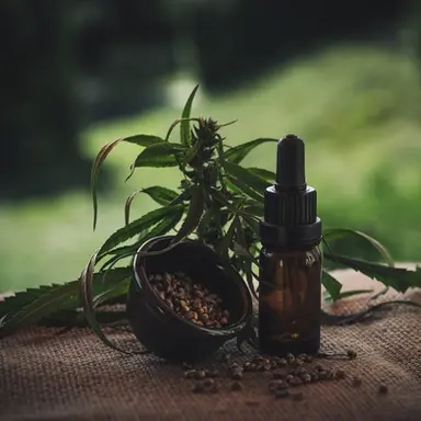 Le cannabis s’empare de la cosmétique