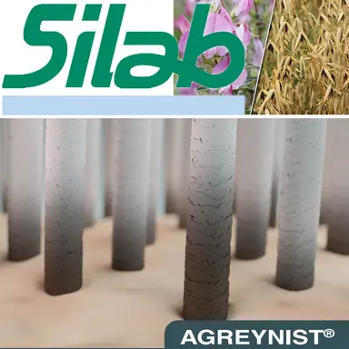 Agreynist de Silab : un repigmentant anti-cheveux gris