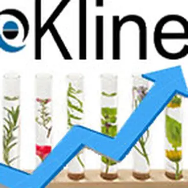 © CosmeticOBS-L'Observatoire des Cosmétiques