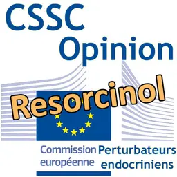 Resorcinol : Opinion préliminaire du CSSC