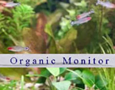 ©Organic Monitor/L'Observatoire des Cosmétiques